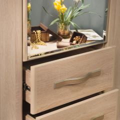 ДИАНА Д11 Шкаф для одежды в Нытве - nytva.mebel24.online | фото 5