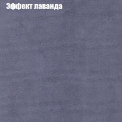 Диван Феникс 1 (ткань до 300) в Нытве - nytva.mebel24.online | фото 64