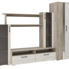 Гостиная Эмма (Дуб Крафт серый/белый) в Нытве - nytva.mebel24.online | фото 2