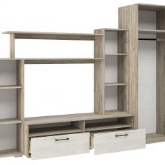 Гостиная Эмма (Дуб Крафт серый/белый) в Нытве - nytva.mebel24.online | фото 3