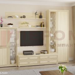 Гостиная Карина Композиция 12 (Ясень Асахи) в Нытве - nytva.mebel24.online | фото 1