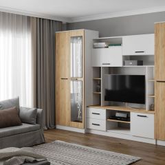 Гостиная СОЛО ЛДСП Белый /ЛДСП Дуб крафт золотой в Нытве - nytva.mebel24.online | фото