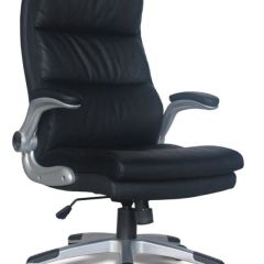 Кресло офисное BRABIX "Fregat EX-510" (рециклированная кожа, черное) 530863 в Нытве - nytva.mebel24.online | фото
