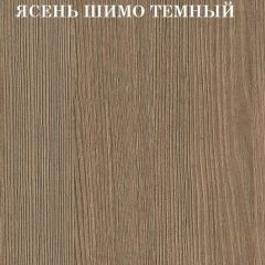 Кровать 2-х ярусная с диваном Карамель 75 (Биг Бен) Ясень шимо светлый/темный в Нытве - nytva.mebel24.online | фото 5