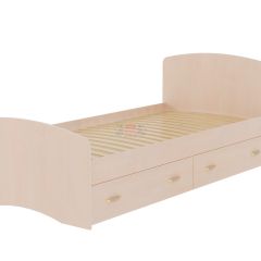 Кровать-6 одинарная с 2-мя ящиками (900*2000) в Нытве - nytva.mebel24.online | фото 4