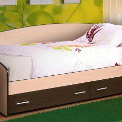 Кровать Софа №3 (800*1900/2000) в Нытве - nytva.mebel24.online | фото