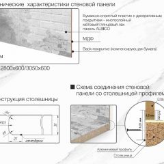 Кухонный фартук со столешницей (А-013) в едином стиле (3050 мм) в Нытве - nytva.mebel24.online | фото 7