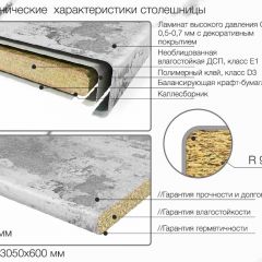 Кухонный фартук со столешницей (А-013) в едином стиле (3050 мм) в Нытве - nytva.mebel24.online | фото 6