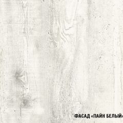 Кухонный гарнитур Алина макси (1800) в Нытве - nytva.mebel24.online | фото 7