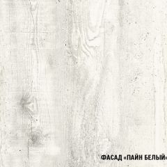 Кухонный гарнитур Алина мини (1000) в Нытве - nytva.mebel24.online | фото 7