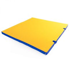 Мат гимнастический 1х1х0,05м с вырезом под стойки цв. синий-желтый в Нытве - nytva.mebel24.online | фото