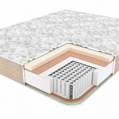Матрас BioNative Family 40 УПРОЧНЕННЫЙ h220 в Нытве - nytva.mebel24.online | фото