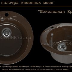 Мойка кухонная MS-1 (D470) в Нытве - nytva.mebel24.online | фото 11