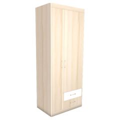 НИКА Н10 Шкаф для одежды в Нытве - nytva.mebel24.online | фото