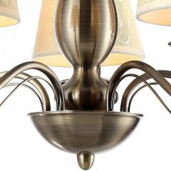 Подвесная люстра Arte Lamp Felcia A9368LM-5AB в Нытве - nytva.mebel24.online | фото 4