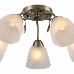 Потолочная люстра Rivoli Olivia Б0052693 в Нытве - nytva.mebel24.online | фото