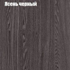Прихожая ДИАНА-4 сек №10 (Ясень анкор/Дуб эльза) в Нытве - nytva.mebel24.online | фото 3