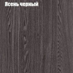 Прихожая ДИАНА-4 сек №14 (Ясень анкор/Дуб эльза) в Нытве - nytva.mebel24.online | фото 3