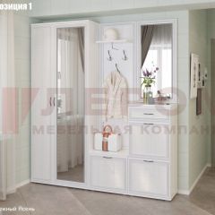 Прихожая Карина (модульная) в Нытве - nytva.mebel24.online | фото 3