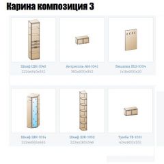 Прихожая Карина (модульная) в Нытве - nytva.mebel24.online | фото 8