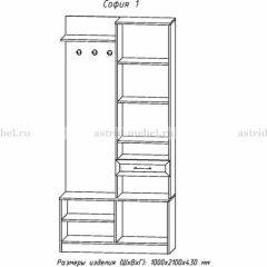 Прихожая София 1 в Нытве - nytva.mebel24.online | фото 3