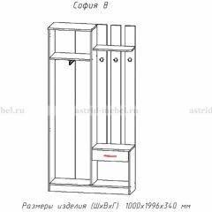 Прихожая София 8 в Нытве - nytva.mebel24.online | фото 2