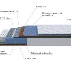 PROxSON Матрас Active Duo M/F (Ткань Трикотаж Эко) 90x200 в Нытве - nytva.mebel24.online | фото 7