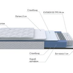 PROxSON Матрас Active Duo S/F (Ткань Трикотаж Эко) 160x190 в Нытве - nytva.mebel24.online | фото 6