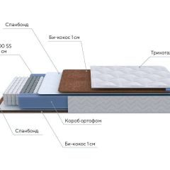 PROxSON Матрас Active F (Ткань Трикотаж Эко) 160x200 в Нытве - nytva.mebel24.online | фото 7