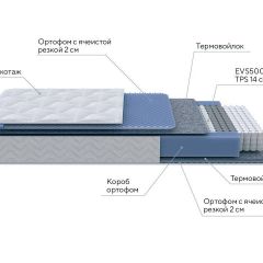 PROxSON Матрас Active M Roll (Ткань Трикотаж Эко) 140x200 в Нытве - nytva.mebel24.online | фото 7