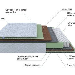 PROxSON Матрас Green M (Tricotage Dream) 140x190 в Нытве - nytva.mebel24.online | фото 7