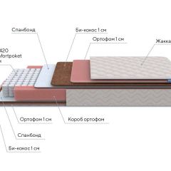 PROxSON Матрас Standart Plus M Roll (Ткань Жаккард) 180x200 в Нытве - nytva.mebel24.online | фото 7