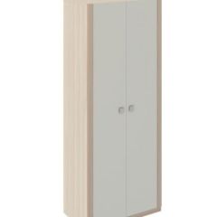 Шкаф 2 двери Глэдис М22 (ЯШС/Белый) в Нытве - nytva.mebel24.online | фото