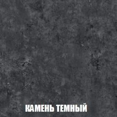 Шкаф 2-х створчатый МСП-1 (Дуб Золотой/Камень темный) в Нытве - nytva.mebel24.online | фото 5