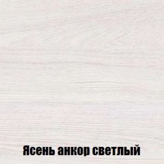 Шкаф 2-х створчатый МСП-1 (Ясень Анкор светлый) в Нытве - nytva.mebel24.online | фото 4