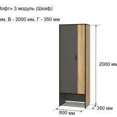 ОЛЬГА-ЛОФТ 3 Шкаф 2-х створчатый в Нытве - nytva.mebel24.online | фото 4