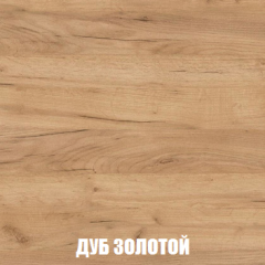 Шкаф 3-х створчатый МСП-1 (Дуб Золотой/Камень темный) в Нытве - nytva.mebel24.online | фото 4