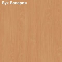 Шкаф для документов с нижней дверью Логика Л-10.3 в Нытве - nytva.mebel24.online | фото 2