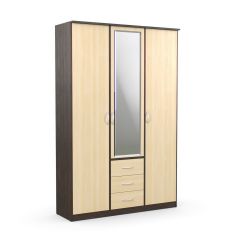 Шкаф комбинированный Дуэт Люкс с зеркалом в Нытве - nytva.mebel24.online | фото