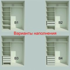 Шкаф-купе 1500 серии NEW CLASSIC K2+K2+B2+PL2(2 ящика+1 штанга+1 полка) профиль «Капучино» в Нытве - nytva.mebel24.online | фото 7