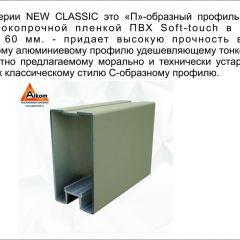 Шкаф-купе 1500 серии NEW CLASSIC K4+K4+B2+PL4 (2 ящика+F обр. штанга) профиль «Капучино» в Нытве - nytva.mebel24.online | фото 18