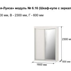 Шкаф-купе 1600 с зеркалом "Мария-Луиза 6.16" в Нытве - nytva.mebel24.online | фото 4