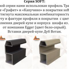 Шкаф-купе 1600 серии SOFT D1+D3+B2+PL1 (2 ящика+1штанга) профиль «Графит» в Нытве - nytva.mebel24.online | фото 11