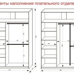 Шкаф-купе 1600 серии SOFT D6+D4+B2+PL2 (2 ящика+1штанга+1 полка) профиль «Капучино» в Нытве - nytva.mebel24.online | фото 9