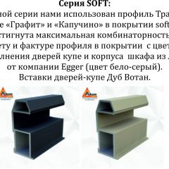 Шкаф-купе 1600 серии SOFT D8+D2+B2+PL4 (2 ящика+F обр.штанга) профиль «Графит» в Нытве - nytva.mebel24.online | фото 12
