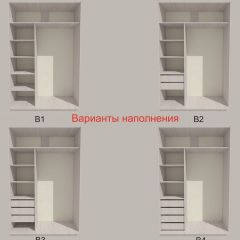 Шкаф-купе 1700 серии SILVER S3+S4+B2+PL4 (2 ящика+F обр.штанга) профиль «Серебро» в Нытве - nytva.mebel24.online | фото 5