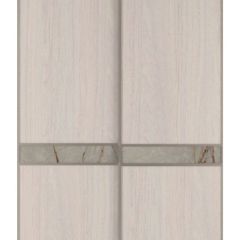 Шкаф-купе 1700 серии SILVER S3+S4+B2+PL4 (2 ящика+F обр.штанга) профиль «Серебро» в Нытве - nytva.mebel24.online | фото 10