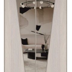 Шкаф-купе 1700 серии SILVER S3+S4+B2+PL4 (2 ящика+F обр.штанга) профиль «Серебро» в Нытве - nytva.mebel24.online | фото 12
