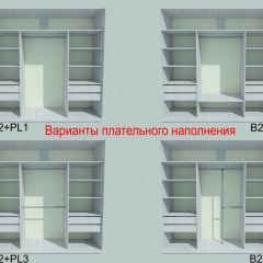 Шкаф-купе 1950 серии SILVER S3+S1+S3Z B22+PL2 (по 2 ящика лев/прав+1штанга+1 полка) профиль «Серебро» в Нытве - nytva.mebel24.online | фото 6