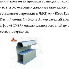Шкаф-купе 2250 серии SILVER S3+S1+S4 B22+PL3 (по 2 ящика лев/прав+2 штанги) профиль «Серебро» в Нытве - nytva.mebel24.online | фото 4